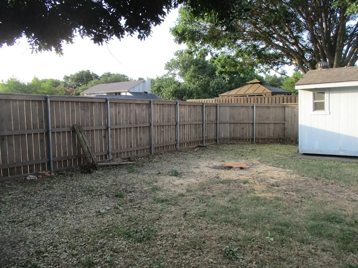 Cleared yard after professional tree removal in Pinedale
